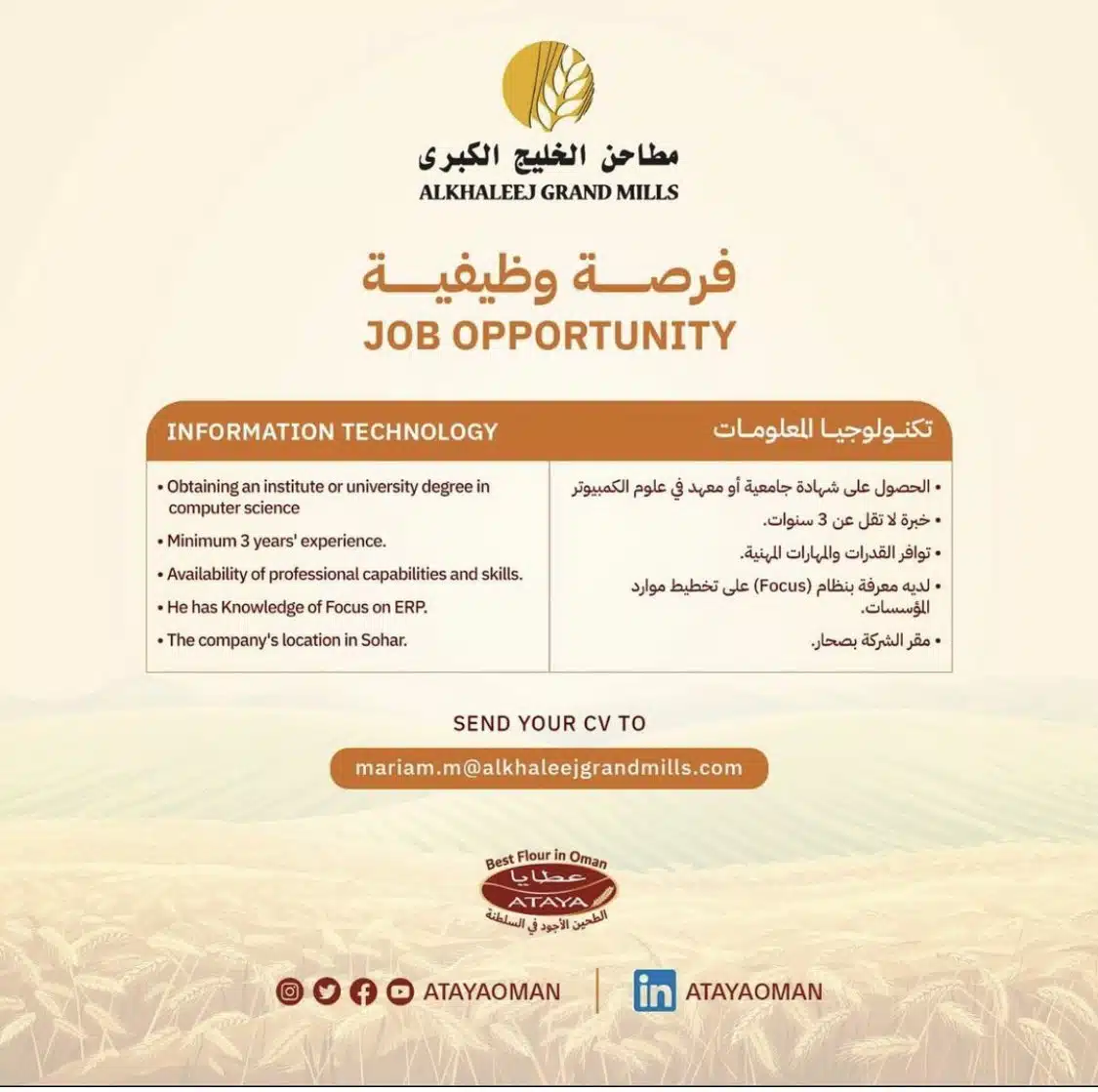 Jobs in Muscat - Jobs in Oman - وظائف شاغرة في سلطنة عمان - وظائف للأجانب في سلطنة عمان