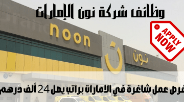 وظائف شركة نون الإمارات في كافة التخصصات وطريقة التقديم