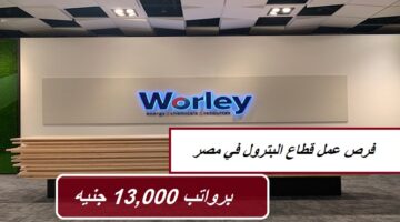 فرص عمل قطاع البترول بمصر لدي شركة وورلي برواتب 13,000 جنيه