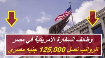 وظائف السفارة الأمريكية