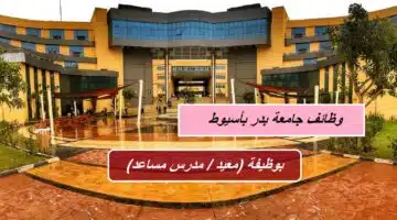 وظائف جامعة بدر بأسيوط