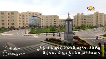 وظائف حكومية 2023 ذكور إناث في جامعة كفر الشيخ برواتب مجزية