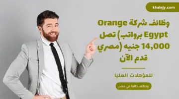 وظائف شركة Orange Egypt (برواتب تصل 14,000 جنيه مصري) قدم الآن
