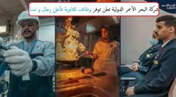 وظائف شركة البحر الأحمر الدولية