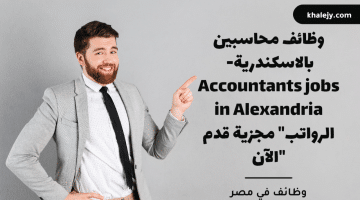 وظائف محاسبين بالاسكندرية – Accountants jobs in Alexandria “الرواتب مجزية قدم الآن”