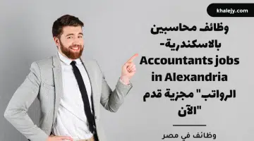 وظائف محاسبين بالاسكندرية Accountants jobs in Alexandria الرواتب مجزية قدم الآن