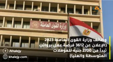 وظائف وزارة القوى العاملة 2023 الإعلان عن 3612 فرصة عمل برواتب تبدأ من 2700 جنيه للمؤهلات المتوسطة والعليا