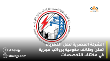 الشركة المصرية لنقل الكهرباء تعلن وظائف حكومية برواتب مجزية في مختلف التخصصات