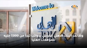 وظائف البنك الاهلي الكويتي برواتب تبدأ من 7,000 جنيه للمؤهلات العليا