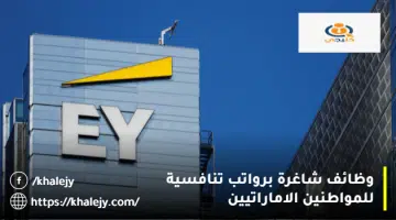 وظائف شاغرة برواتب تنافسية للمواطنين الاماراتيين