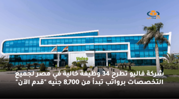 شركة فاليو تطرح 34 وظيفة خالية في مصر لجميع التخصصات برواتب تبدأ من 8,700 جنيه “قدم الآن”