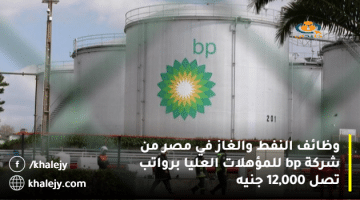 وظائف النفط والغاز في مصر من شركة bp للمؤهلات العليا برواتب تصل 12,000 جنيه