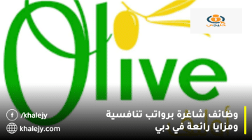 شركات دبي للتوظيف من شركة أوليف (Oliv) للمواطنين والوافدين