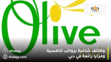 وظائف شاغرة برواتب تنافسية ومزايا رائعة في دبي 1