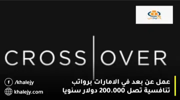 عمل عن بعد في الامارات برواتب تنافسية تصل 200.000 دولار سنويا