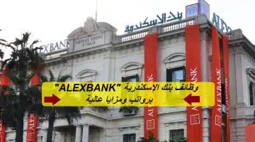 وظائف بنك الإسكندرية للمؤهلات العليا
