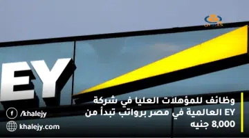 وظائف للمؤهلات العليا في شركة EY العالمية في مصر برواتب تبدأ من 8000 جنيه