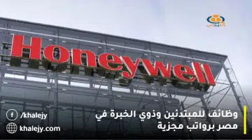 وظائف للمبتدئين وذوي الخبرة في مصر برواتب مجزية
