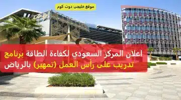 الطاقة كفا