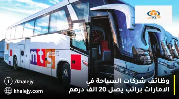 وظائف شركات السياحة في الامارات براتب يصل 20 الف درهم