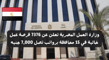 وزارة العمل المصرية تعلن عن 7376 فرصة عمل خالية في 15 محافظة برواتب تصل 7,000 جنيه