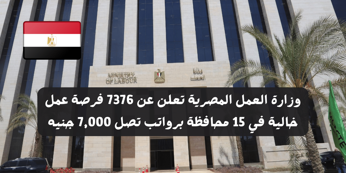 وزارة العمل المصرية تعلن عن 7376 فرصة عمل خالية في 15 محافظة برواتب تصل 7,000 جنيه