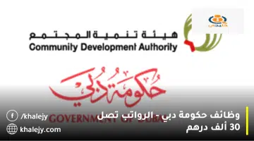 وظائف حكومة دبي الرواتب تصل 30 ألف درهم