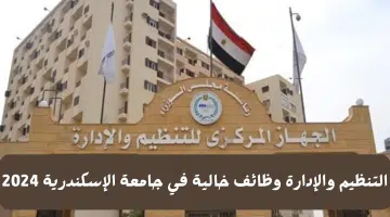 التنظيم والإدارة وظائف خالية في جامعة الإسكندرية 2024