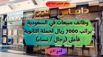 داماس