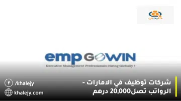 شركات توظيف في الامارات الرواتب تصل20000 درهم