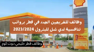 وظائف للخريجين الجدد في قطر برواتب تنافسية لدي شل للبترول 20232024