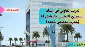 الفرنسى