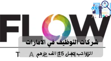 شركة Flow Talent