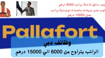 شركة بالافورتPallafort LLC