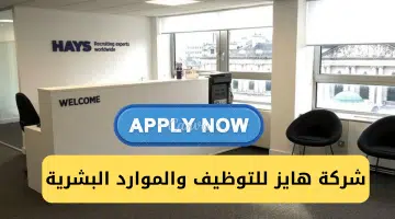 شركة هايز 1