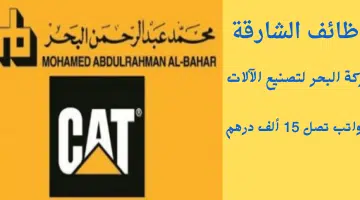 نص فقرتك 1