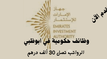 هيئة الإمارات للاستثمار تعلن وظائف حكومية في أبوظبي| الرواتب تصل 30 ألف درهم