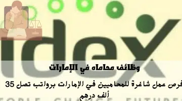 شركة آيدكس للاستشارات المحدودة