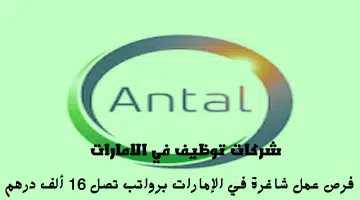 شركة أنتال إنترناشيونال 1