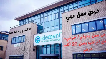 شركة تكنولوجيا المواد العنصرية
