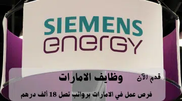 شركة سيمنز للطاقة 1