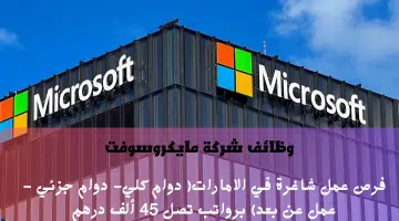 شركة مايكروسوفت 2