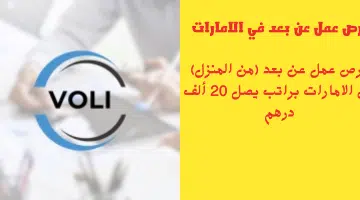 شركة هال كونسيبتا زولي