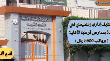 قرطبة