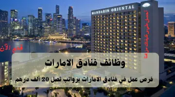 مجموعة فنادق ماندارين أورينتال 1