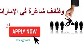 البحث عن وظيفة 640x360 1