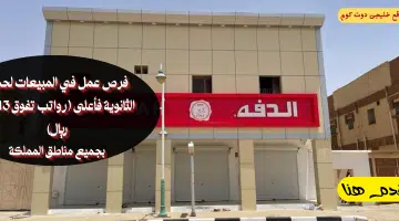 الدفة