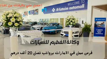 الفطيم للسيارات