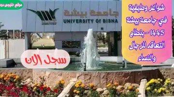 بيشة