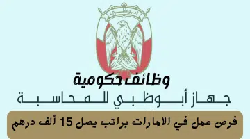 جهاز أبوظبي للمحاسبة